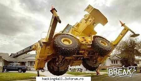 Cade macaraua !!! - OvaS - Funny Pictures