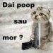 poop - OvaS - Avatare